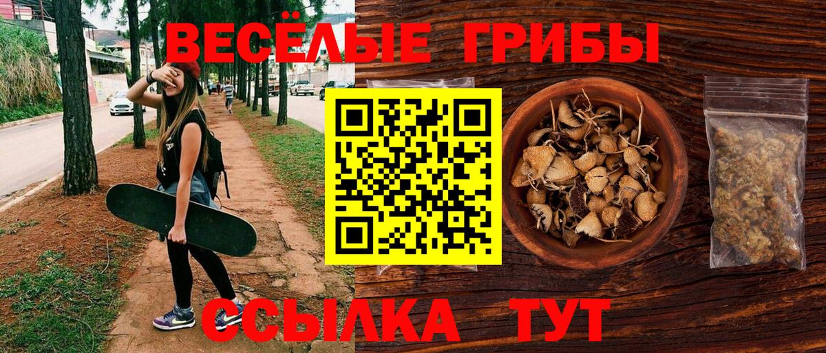 Галлюциногенные грибы Cubensis Ипатово