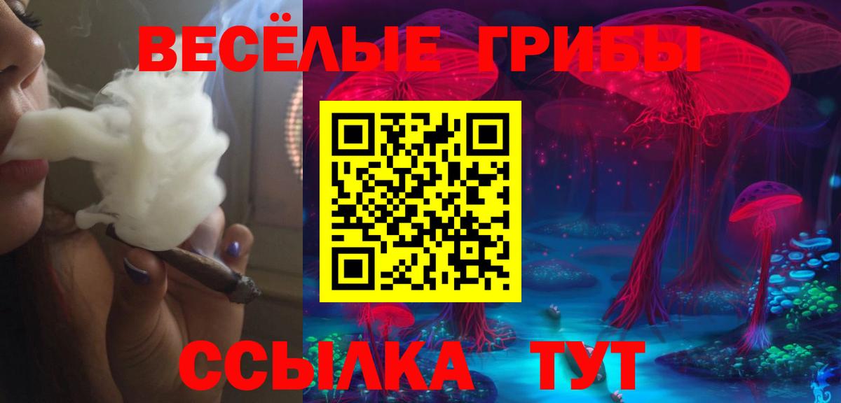 Ипатово  Галлюциногенные грибы прущие грибы  Вход с VPN  Псилоцибиновые грибы мухоморы 